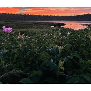 Meet your Posher, illytha’s boutique.